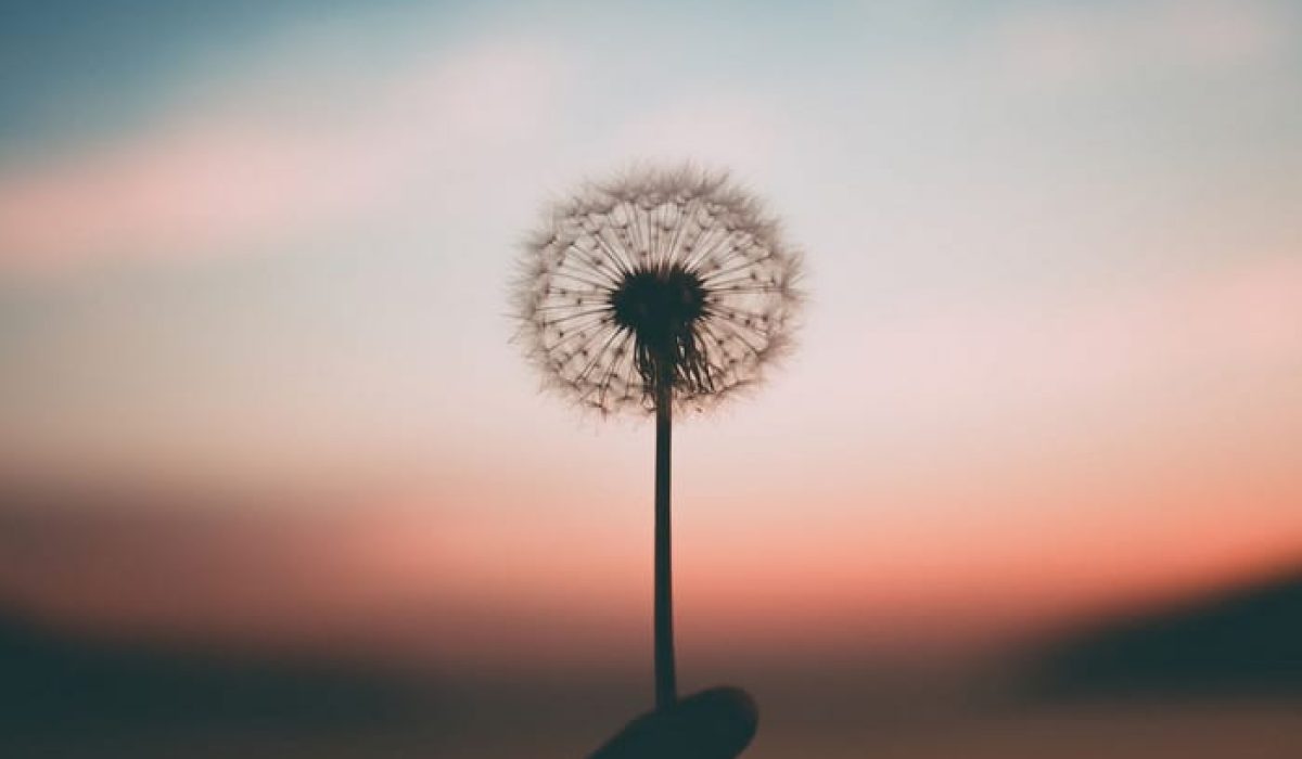 mindfulness-semplice